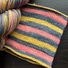 Load image into Gallery viewer, Be Kind - Self Striping Merino Nylon Sock & DK
