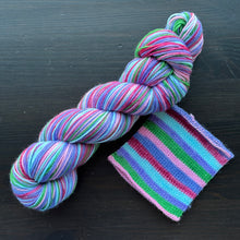 Load image into Gallery viewer, Embracing The Chaos -Skeins & Sock Sets - Self Striping Merino Nylon Sock