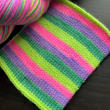 Load image into Gallery viewer, Garden Party - Self Striping Merino Nylon Sock