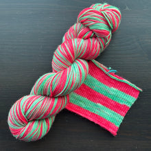 Load image into Gallery viewer, Wild One #161 - Self Striping Merino Nylon Sock