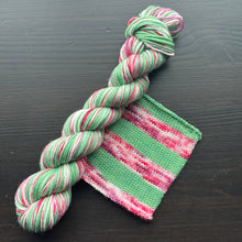 Load image into Gallery viewer, 50 Gram Mini - Easily Distracted By Plants - Self Striping Merino Nylon Sock