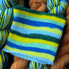 Load image into Gallery viewer, The Do-Over - Self Striping Merino Nylon Sock