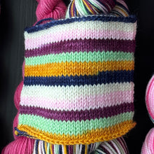 Load image into Gallery viewer, Book Inspired Dyed To Order - Self Striping Merino Nylon Sock
