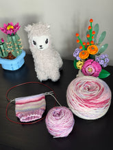 Load image into Gallery viewer, Dyed To Order - Cheers To A Fresh Start Sock Set - Self Striping Merino Nylon Sock