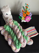 Load image into Gallery viewer, Valentine's Day 2026 Self Striping Sock Set & Solo Skeins - Love Is Love - Self Striping Merino Nylon Sock