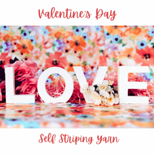 Load image into Gallery viewer, Valentine's Day 2026 Self Striping Sock Set & Solo Skeins - Love Is Love - Self Striping Merino Nylon Sock