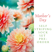 Load image into Gallery viewer, Mother’s Day 2026 Self Striping Sock Set - I’m Not A Regular Mom, I’m A Cool Mom - Self Striping Merino Nylon Sock