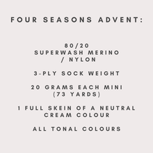 Load image into Gallery viewer, PRE-ORDER - 2026 Mini Skein Advent Calendar - Merino Nylon Sock