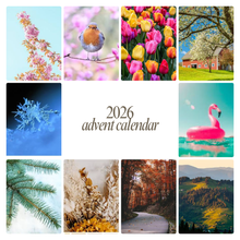Load image into Gallery viewer, PRE-ORDER - 2026 Mini Skein Advent Calendar - Merino Nylon Sock