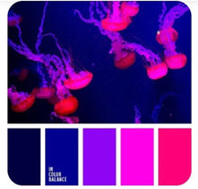 Load image into Gallery viewer, Deep Dive - Self Striping Merino Nylon Sock