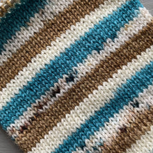 Load image into Gallery viewer, Aw Coconuts - Self Striping Merino Nylon Sock