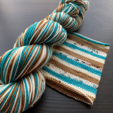 Load image into Gallery viewer, Aw Coconuts - Self Striping Merino Nylon Sock