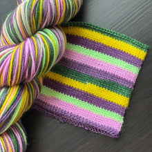 Load image into Gallery viewer, Hoppin’ Good Times - Self Striping Merino Nylon Sock &amp; DK
