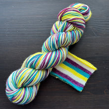 Load image into Gallery viewer, Whodunit? - Book Genre Collection - Self Striping Merino Nylon Sock &amp; DK
