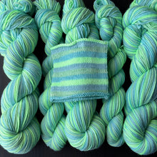 Load image into Gallery viewer, Futuristic - Book Genre Collection - Self Striping Merino Nylon Sock &amp; DK
