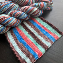 Load image into Gallery viewer, Enjoy The Little Things - Self Striping Merino Nylon Sock

