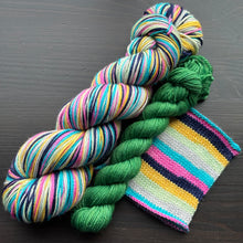 Load image into Gallery viewer, Welcome To Galloway Farm Self Striping Sock Set - Self Striping Merino Nylon Sock
