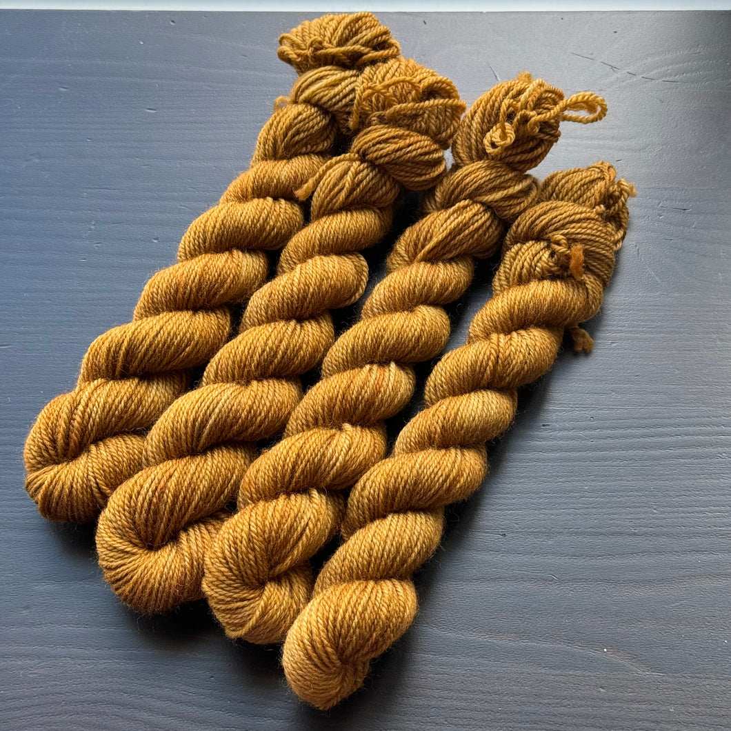 25 Gram Mini - In A Nutshell - Merino Nylon Sock