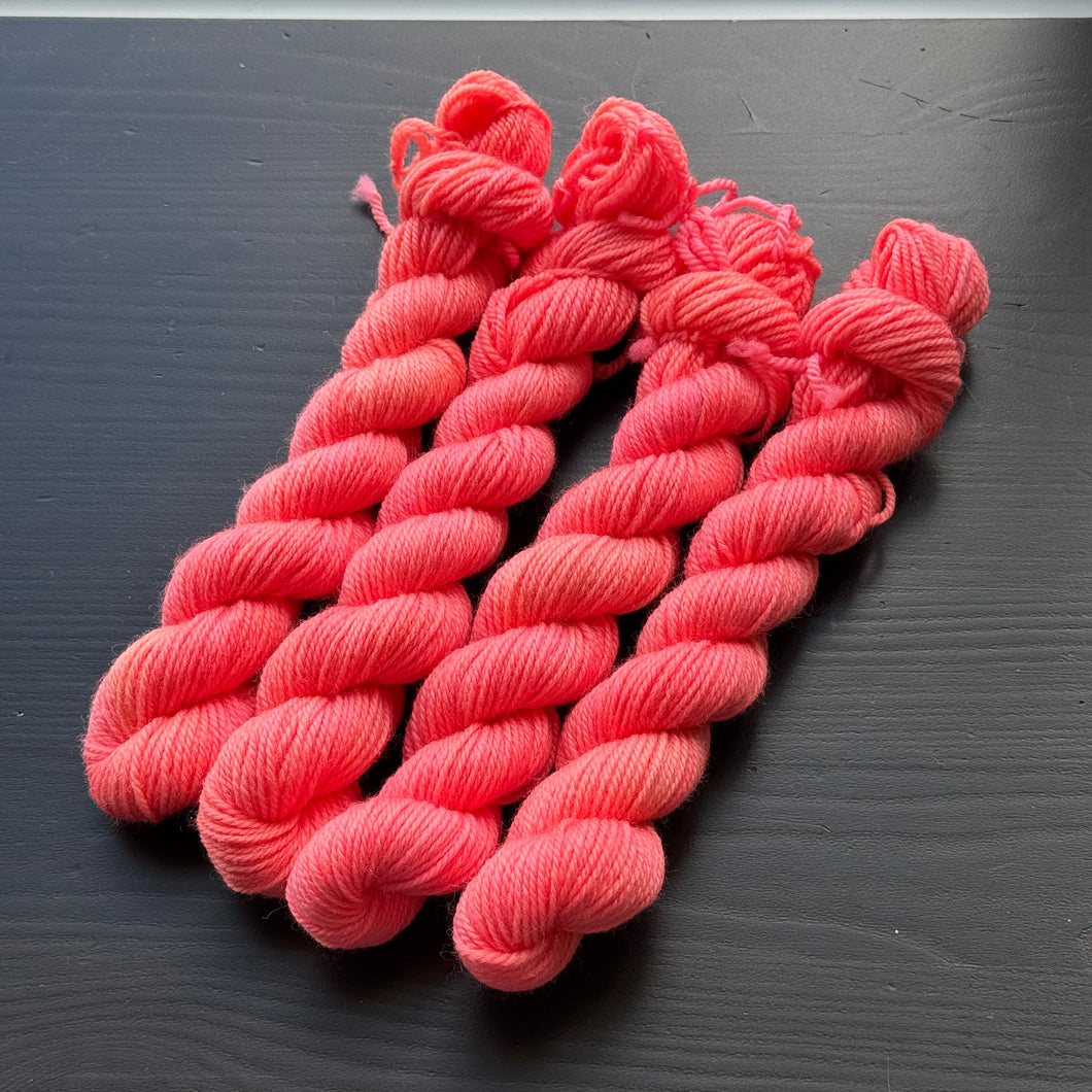 25 Gram Mini - Bittersweet - Merino Nylon Sock