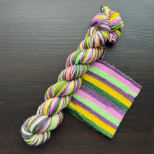 Load image into Gallery viewer, Hoppin’ Good Times - Self Striping Merino Nylon Sock &amp; DK

