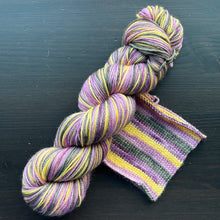 Load image into Gallery viewer, Wild One #162 - Self Striping Merino Nylon Sock
