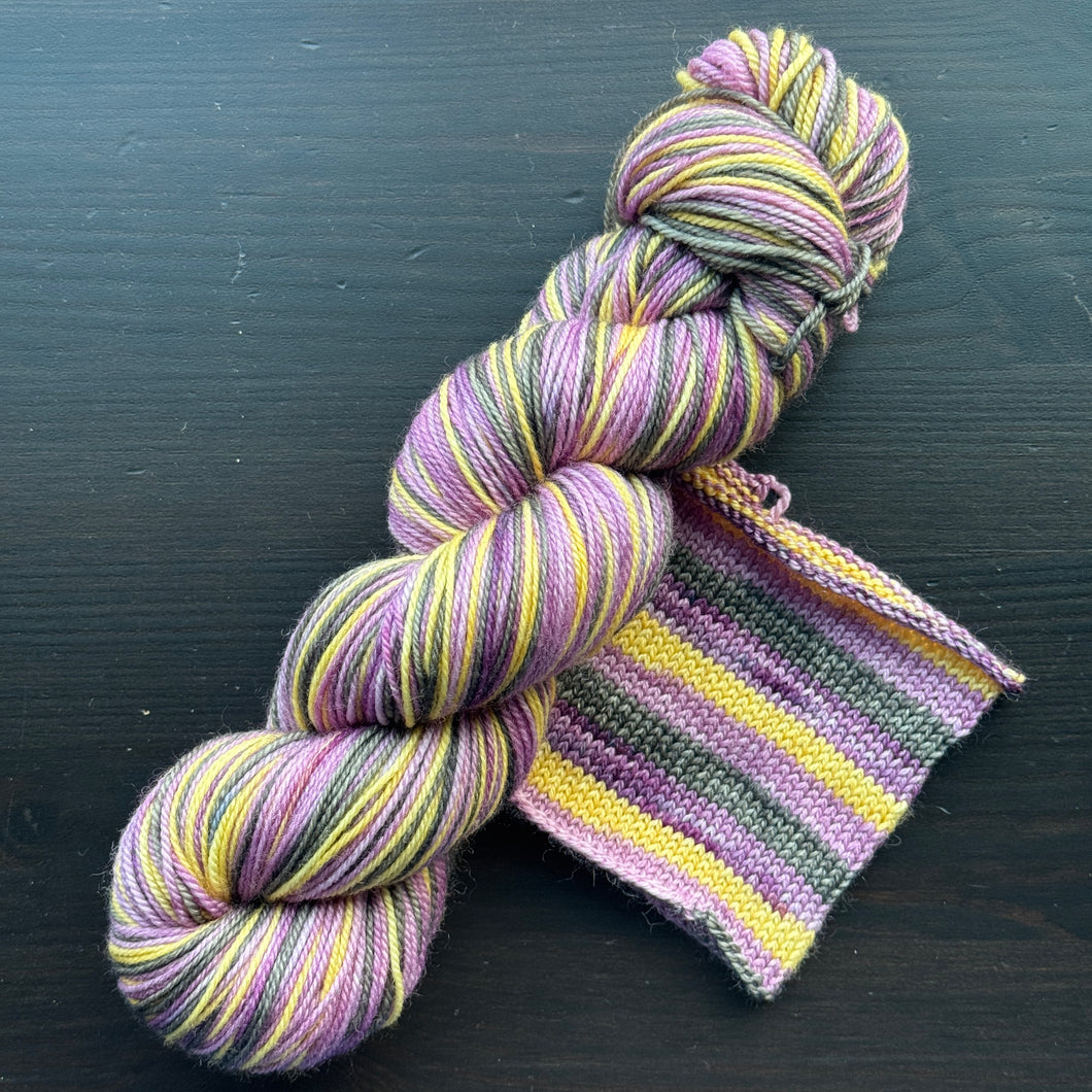 Wild One #162 - Self Striping Merino Nylon Sock
