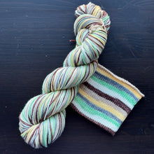 Load image into Gallery viewer, Minimalistic - Self Striping Merino Nylon Sock &amp; DK

