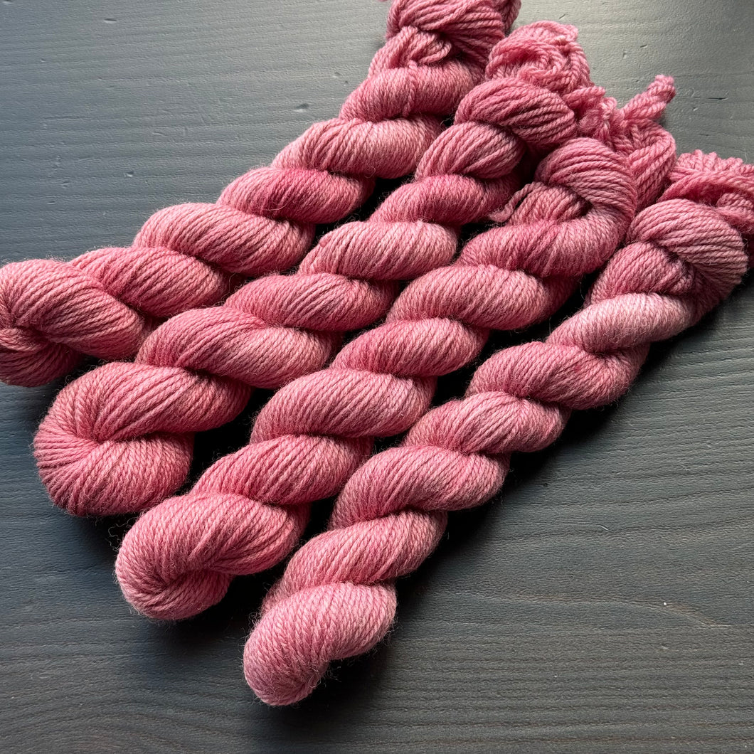 25 Gram Mini - Rhubarb - Merino Nylon Sock