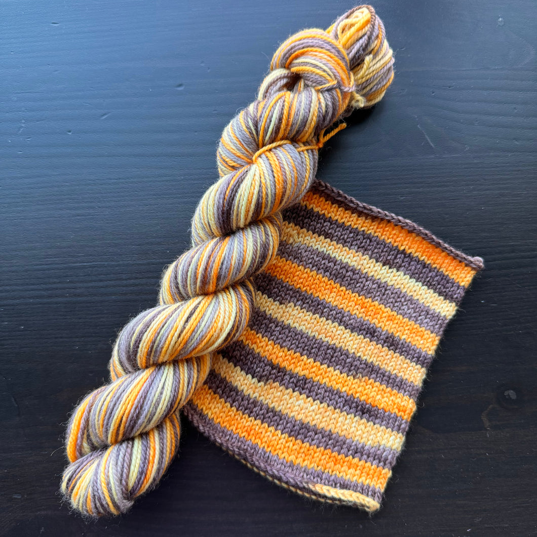 50 Gram Mini - Pumpkin Patch - Self Striping Merino Nylon Sock