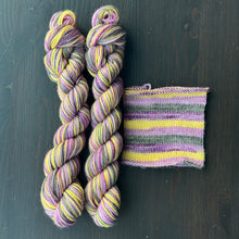 Load image into Gallery viewer, 50 Gram Mini - Wild One #162 - Self Striping Merino Nylon Sock
