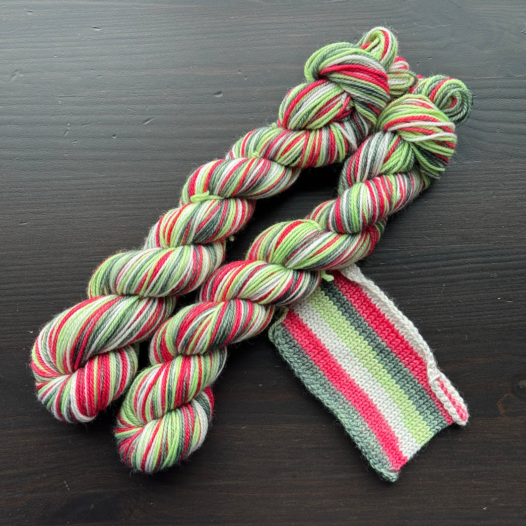 50 Gram Mini - Poinsettia - Self Striping Merino Nylon Sock