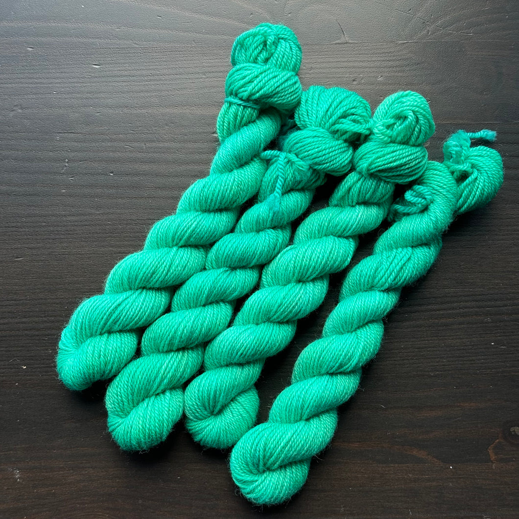 25 Gram Mini - Emerald Lake - Merino Nylon Sock