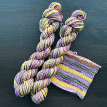 Load image into Gallery viewer, 50 Gram Mini - Wild One #162 - Self Striping Merino Nylon Sock
