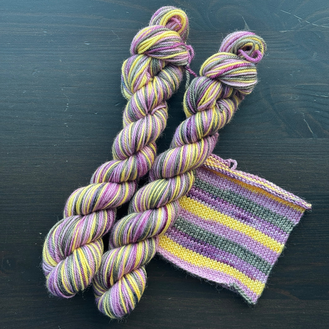 50 Gram Mini - Wild One #162 - Self Striping Merino Nylon Sock