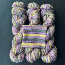 Load image into Gallery viewer, Wild One #162 - Self Striping Merino Nylon Sock
