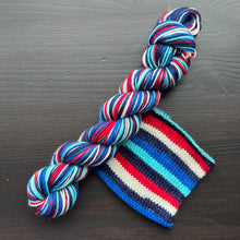 Load image into Gallery viewer, Let’s Go, Blue Jays! - Self Striping Merino Nylon Sock &amp; DK
