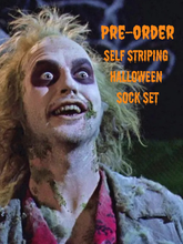 Load image into Gallery viewer, You Think I’m Qualified? Sock Set - Self Striping Merino Nylon Sock
