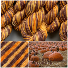 Load image into Gallery viewer, Pumpkin Patch - Self Striping Merino Nylon Sock &amp; DK

